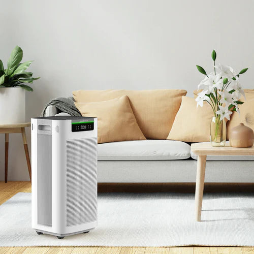 Large Room Air Purifiers