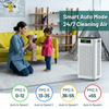 Smart Auto Mode showing PM2.5 levels and automatic fan speed adjustment.