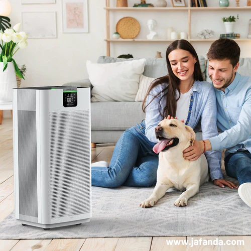 Is Your Air Purifier a Dud? Unmasking the Hidden Dangers of Dirty Air